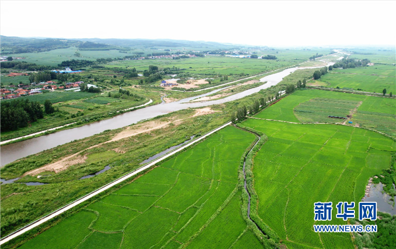 延边最出名的大米延边龙井大米,海兰江畔美景