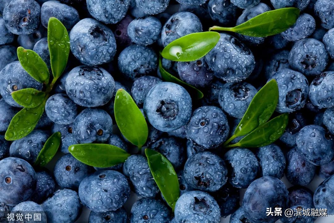 每天吃多少蓝莓对眼睛有益,每天吃蓝莓会有什么后果