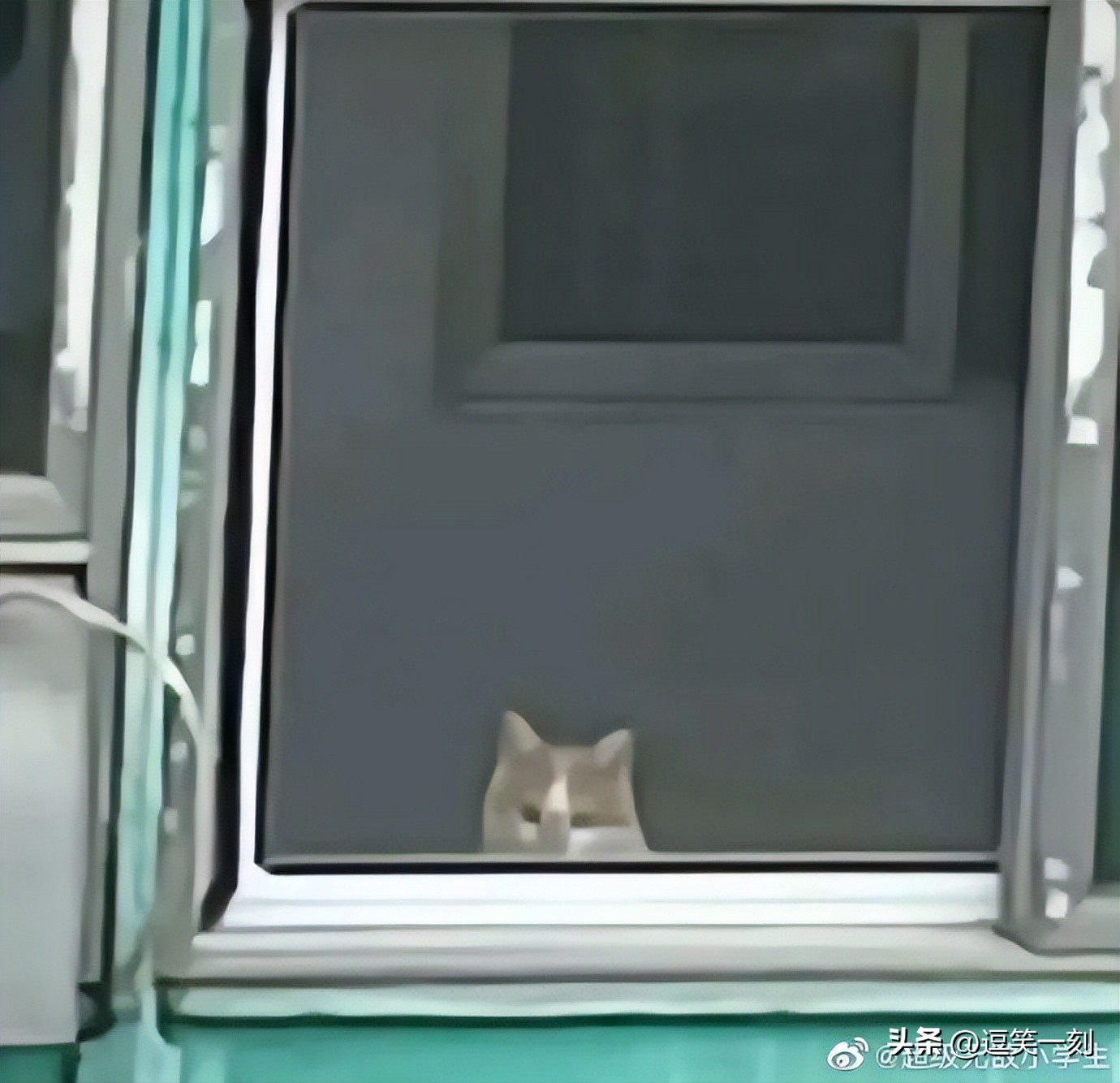 神仙男友的奇葩操作,男友的奇葩脑回路评论区笑不活了