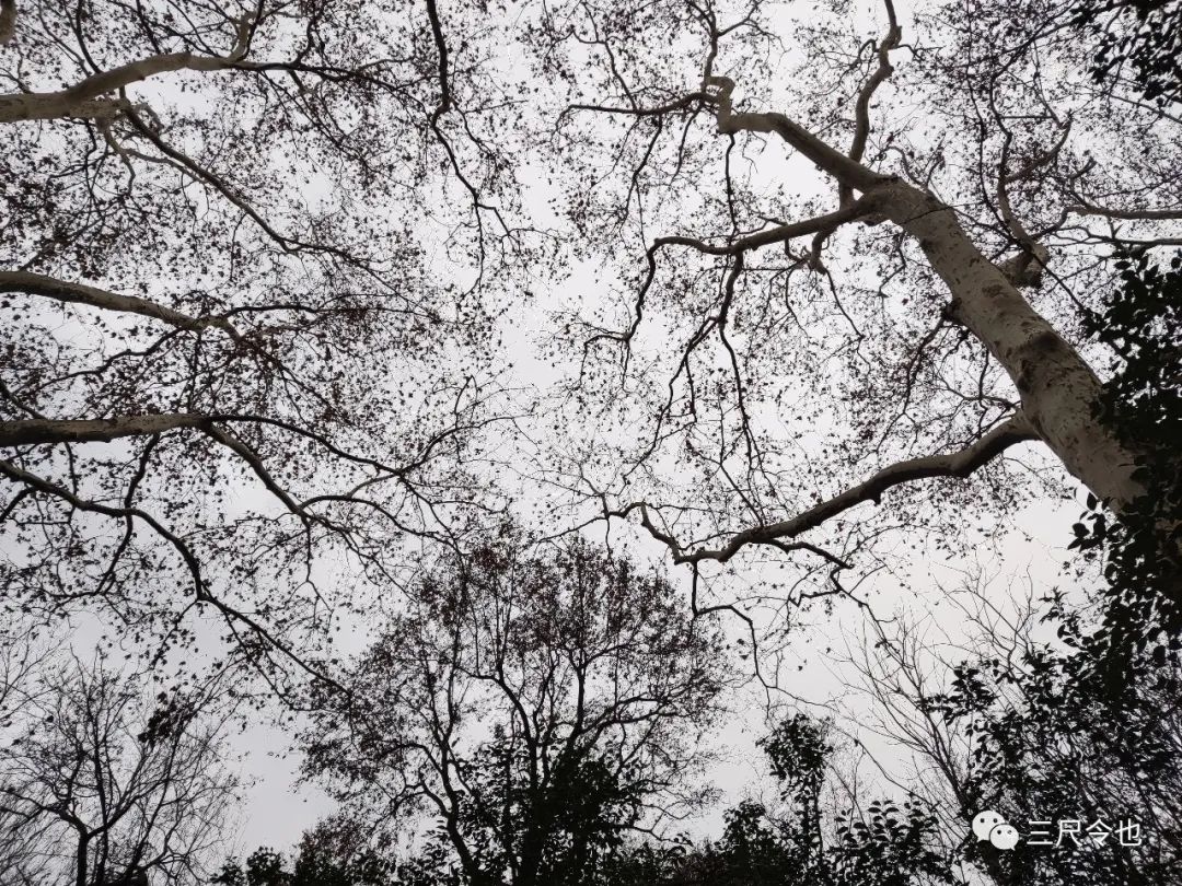 消费者诉讼维权小知识,生活中的四种消费者维权