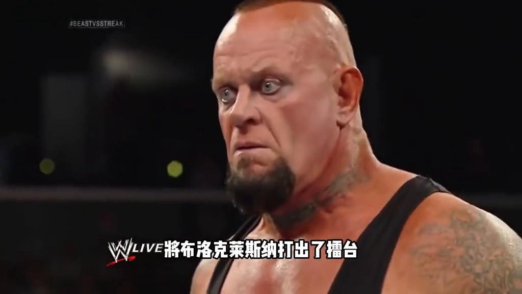 布洛克莱斯纳终结送葬者图片,布洛克vs送葬者摔角狂热集锦