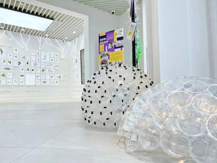 他们的青春因坚守而闪耀,用汗水和信念铸就梦想