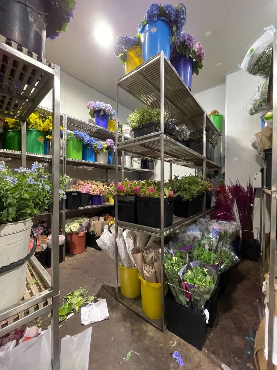 新手必看鲜花养护攻略,鲜花在水里能养几天会死