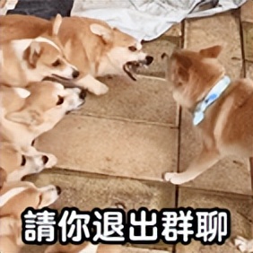 过年忙着抢红包？有这种红包群赶紧退！