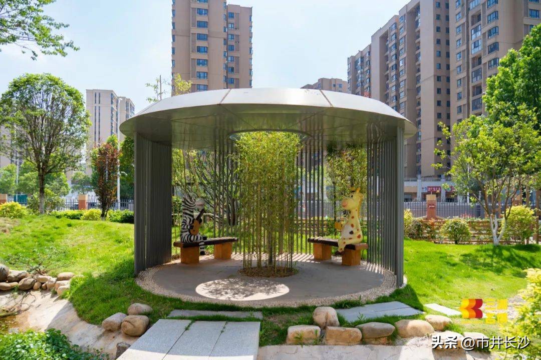 仰天湖天心实验学校,仰天湖实验小学怎么样