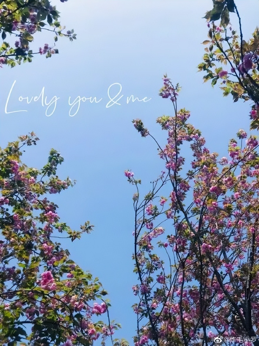 樱花季日本小众赏樱,樱花季全球赏樱胜地盘点