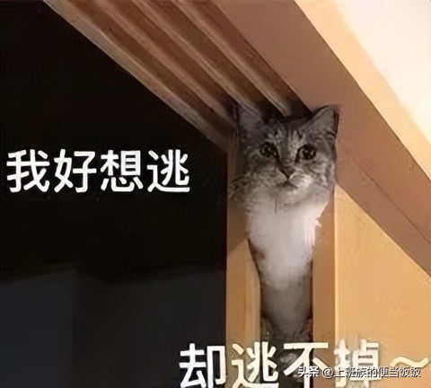 在家做米线汤配方简单又好吃,自制米线汤底家常做法