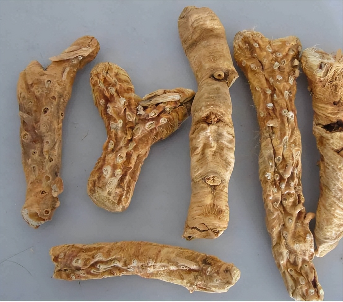 六味地黄丸杞菊地黄丸功效与作用,六味地黄丸杞菊地黄丸副作用