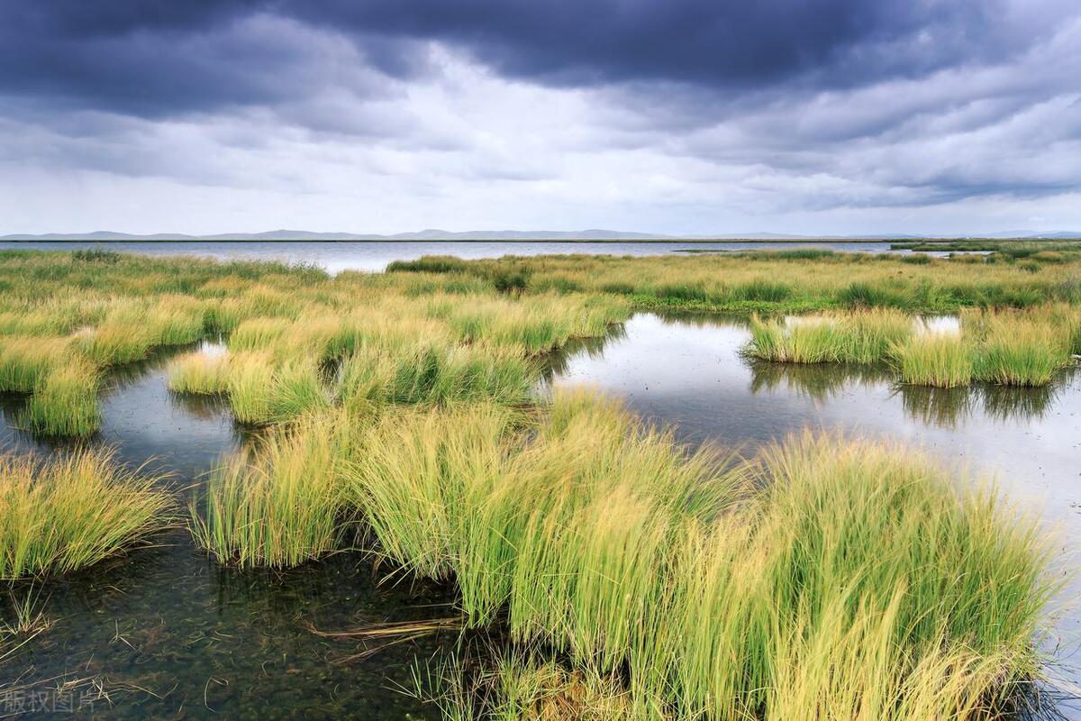四川最美草原—若尔盖草原欣赏