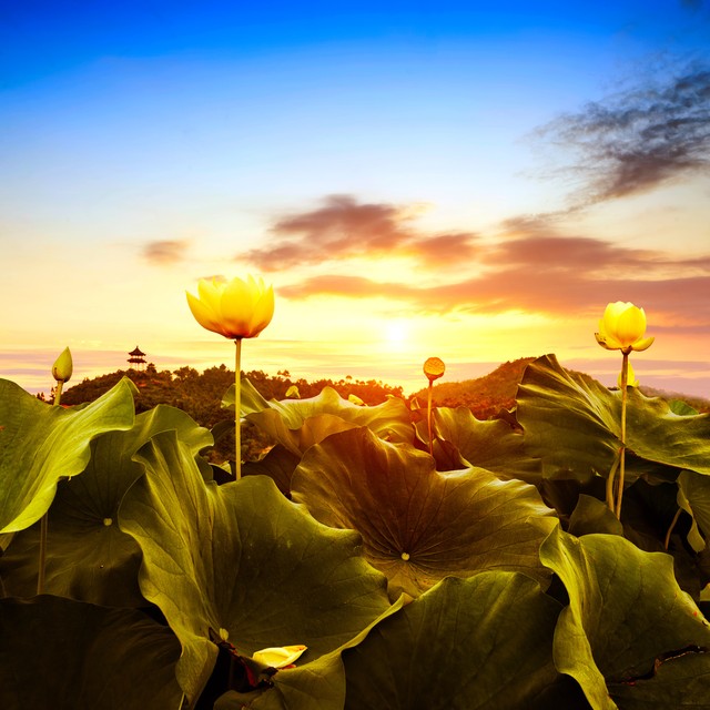就算生活百般刁难也要从容对待,生活百般刁难却要从容应对