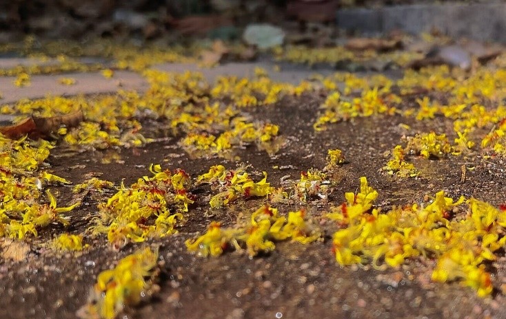 山中医er的“小确幸”