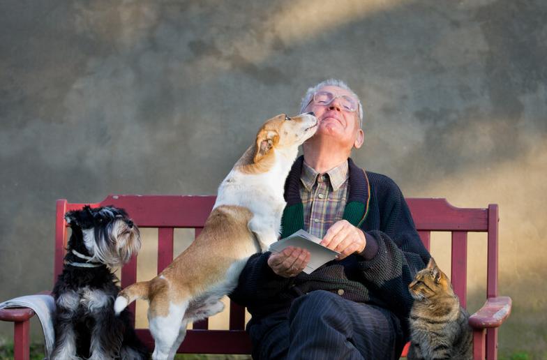 狗狗舔人的原因其实它想告诉你,狗狗老是舔你表示什么