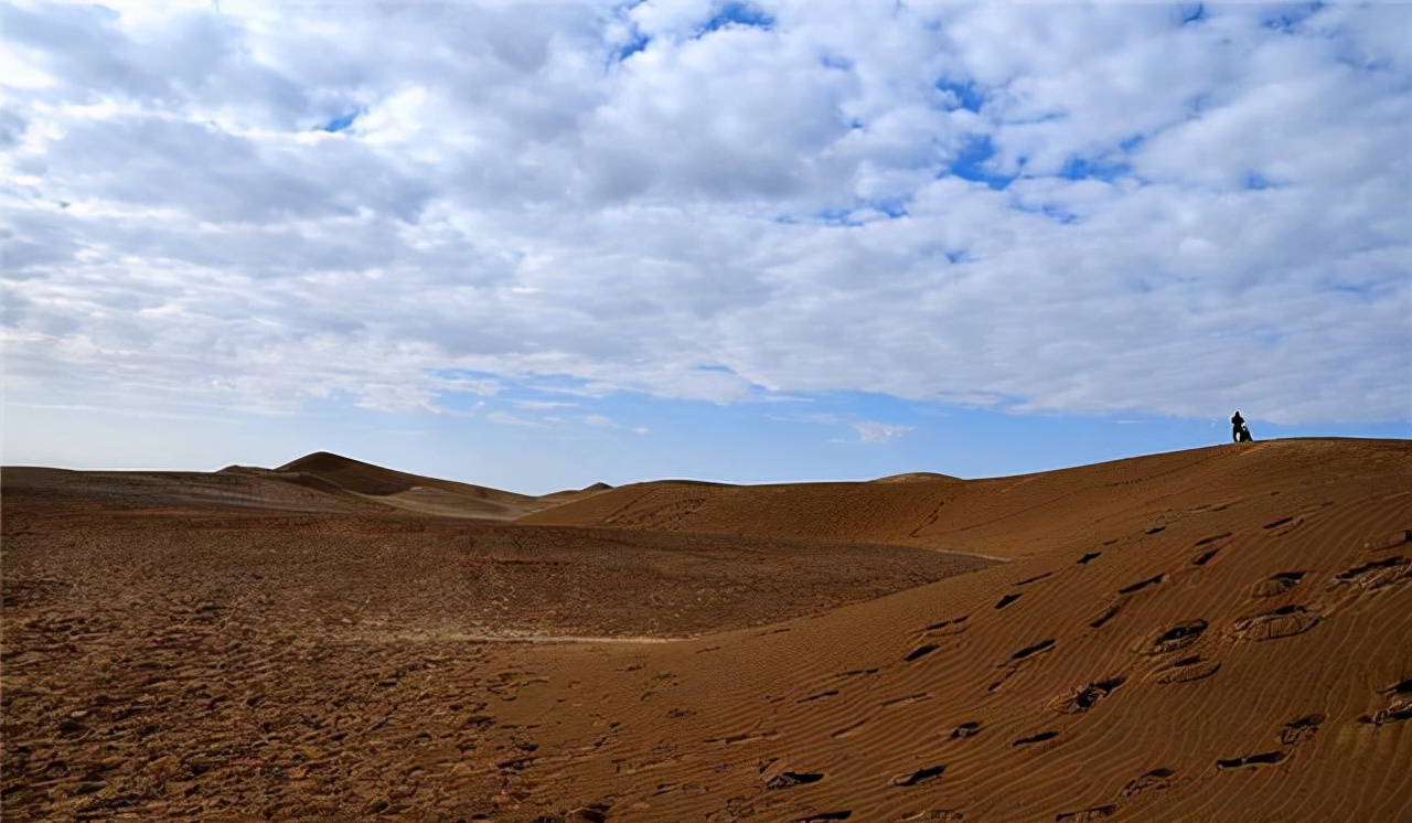 中国神奇胶水让沙漠变绿洲,中国科学家发明胶水沙子变土壤