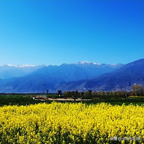 为什么说四季都适合去云南玩,去云南哪个季节去最好玩