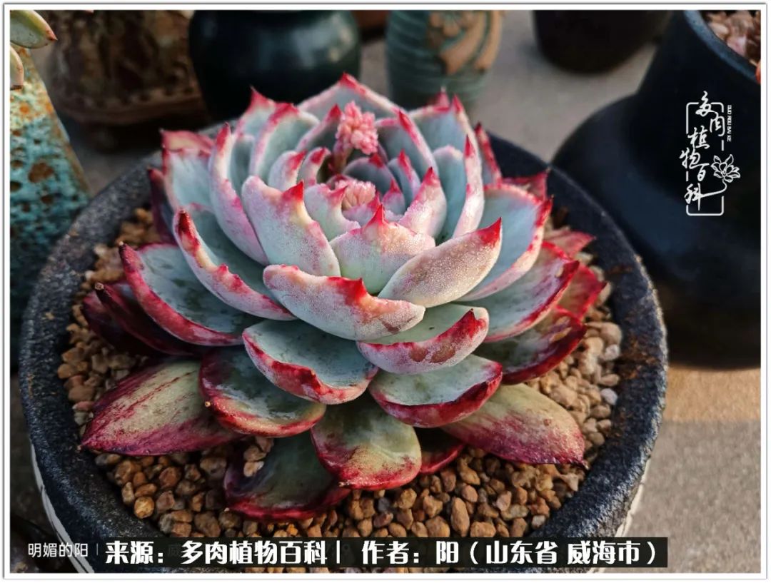 浜洪棿鐑熺伀鑷湁涓囧崈棰滆壊,浜洪棿鐑熺伀鐨嗘槸骞冲嚒棰滆壊