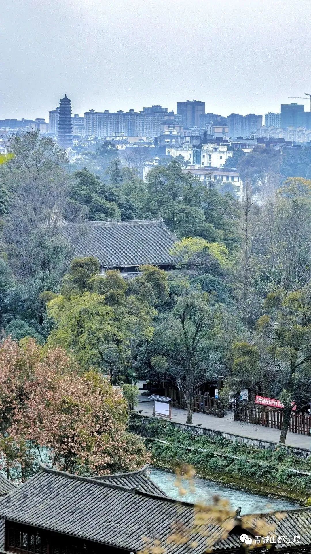 抓住秋天的尾巴！都江堰必打卡的8大晚秋好去处，步青山观烟岚云岫、入古城拾千年烟火，来过都会爱上