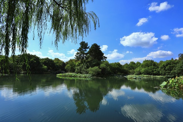 47岁女人的情感故事,面部长血管瘤的女孩