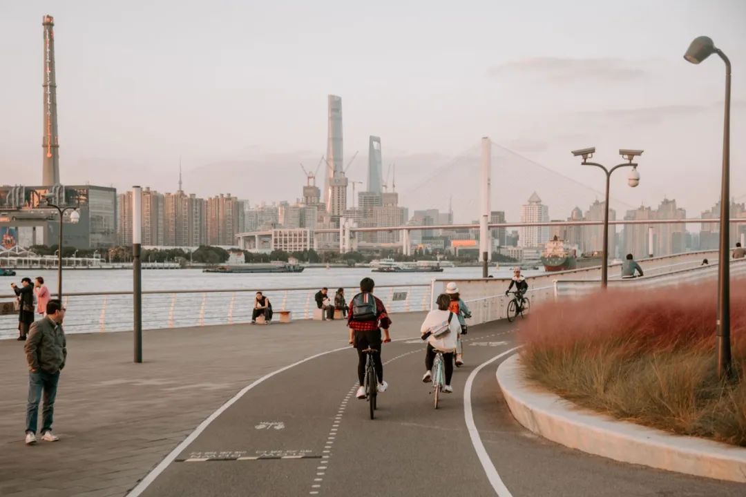 25年最挣钱的行业,25年自行车市场