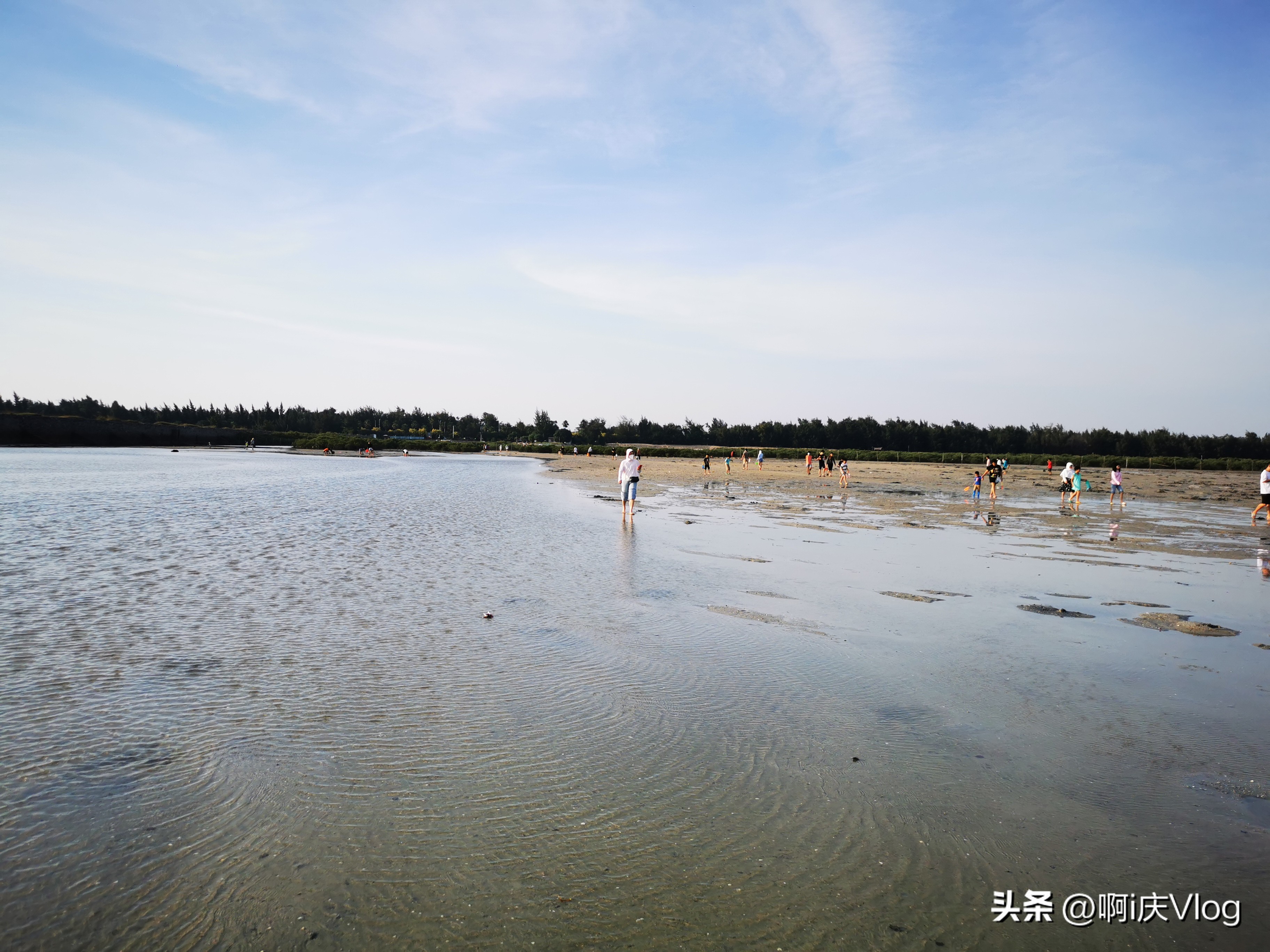 上海疫情过了什么生意好做,疫情结束后做什么生意好