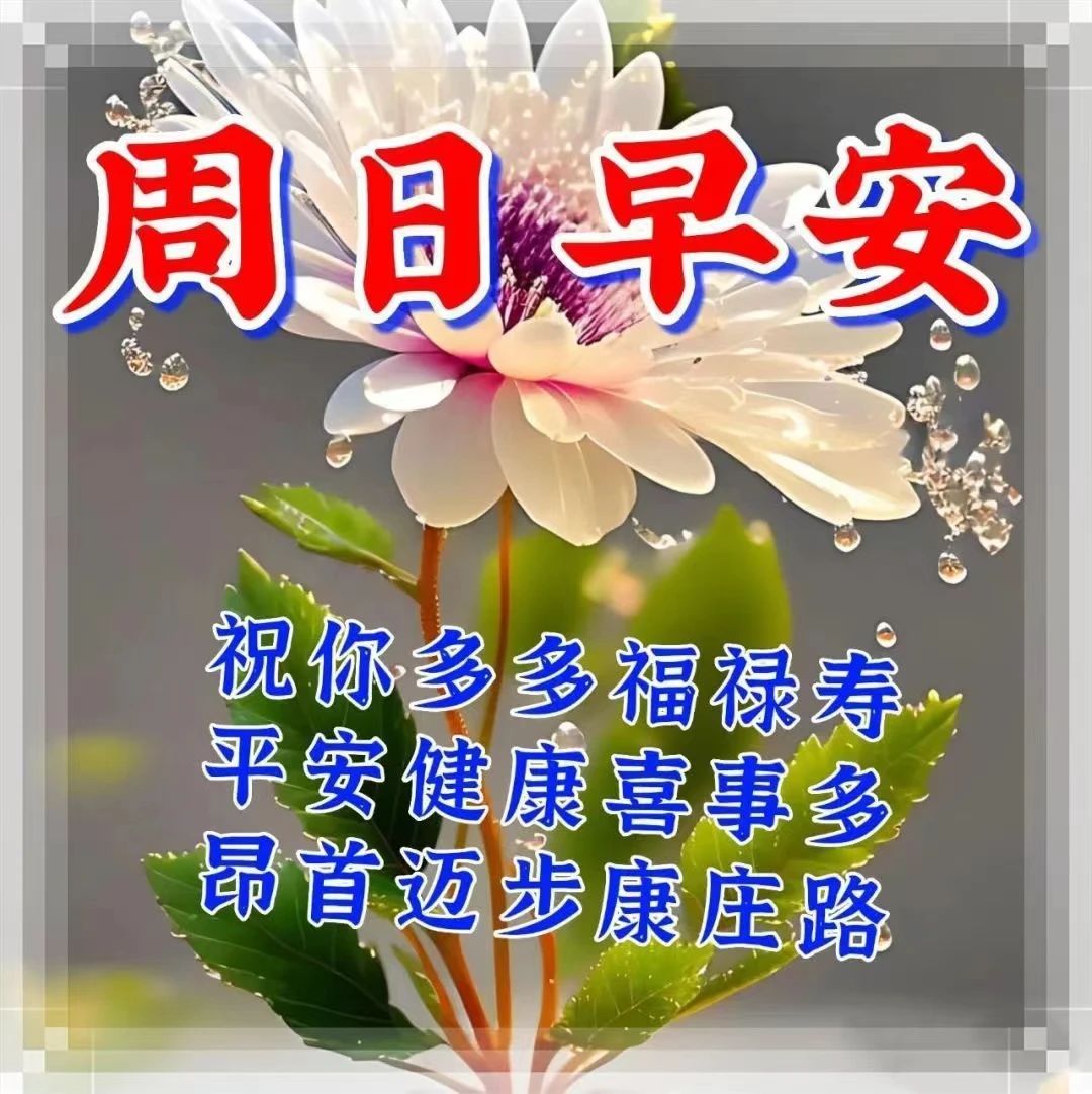 早安问候朋友带字最美图片,4月28日早安问候图片文字