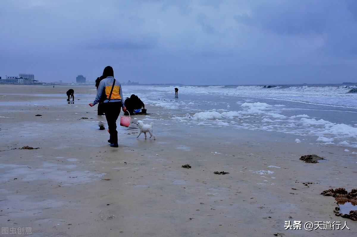 故乡山东行,遥远的记忆写段话