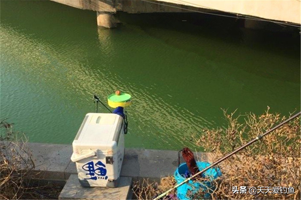 冬季流动的水面如何找鱼窝撒网,找鱼窝的正确方法冬季野钓鲫鱼