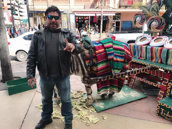 “枪林弹雨”危险迷人的墨西哥现状，带你看看墨西哥的冷知识