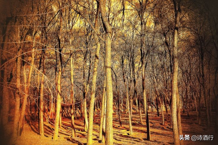 “昔人已乘黄鹤去”，继忠已经离开我们整整一年了