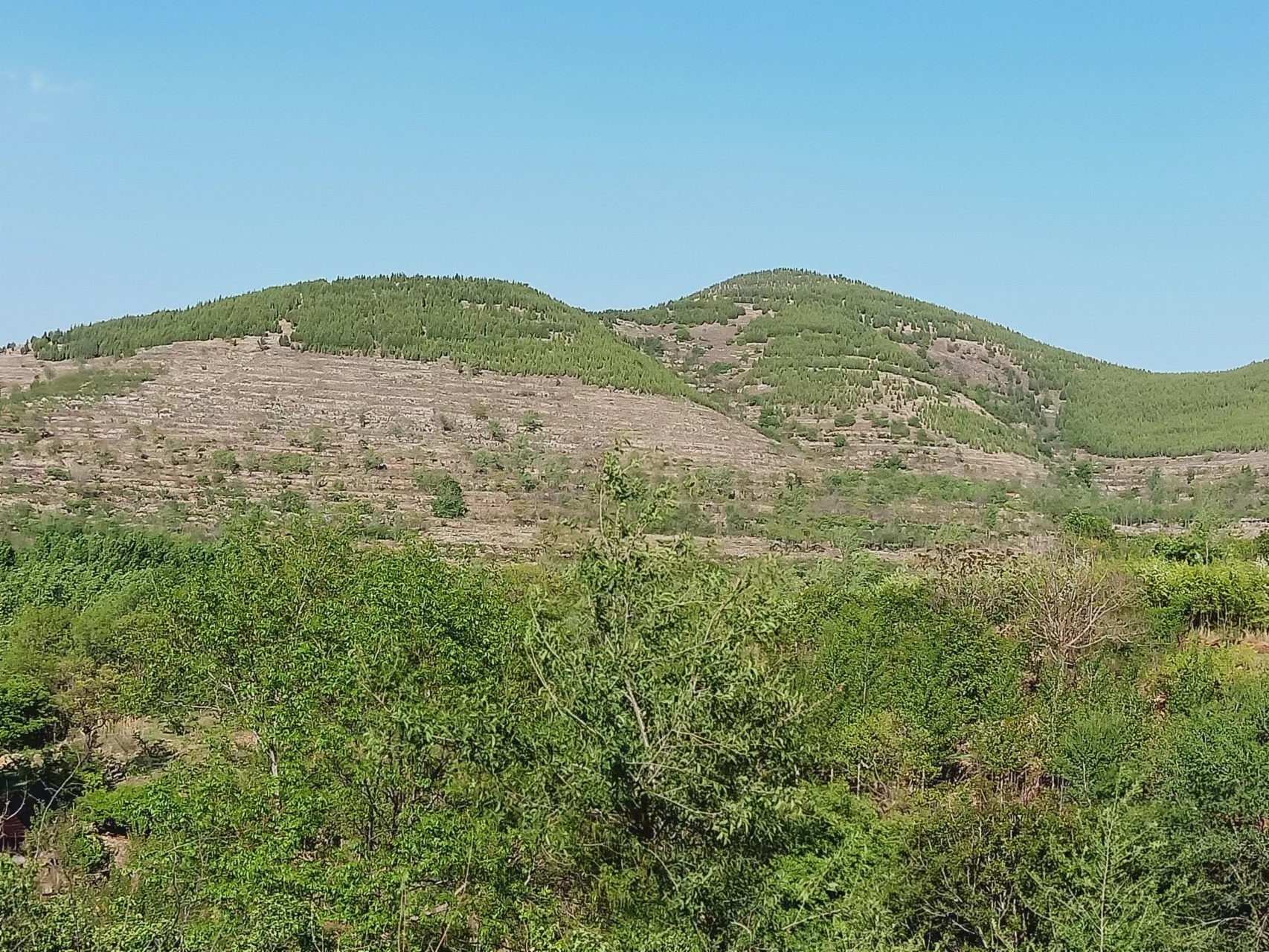 父亲第一章,父亲第一章全文阅读