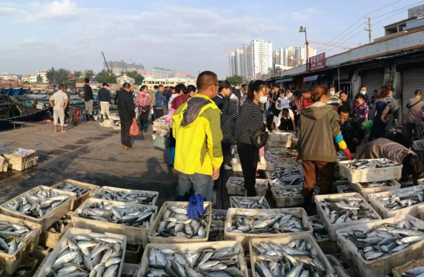 北海的海鲜便宜还是防城港的便宜 (北海吃哪些海鲜便宜)