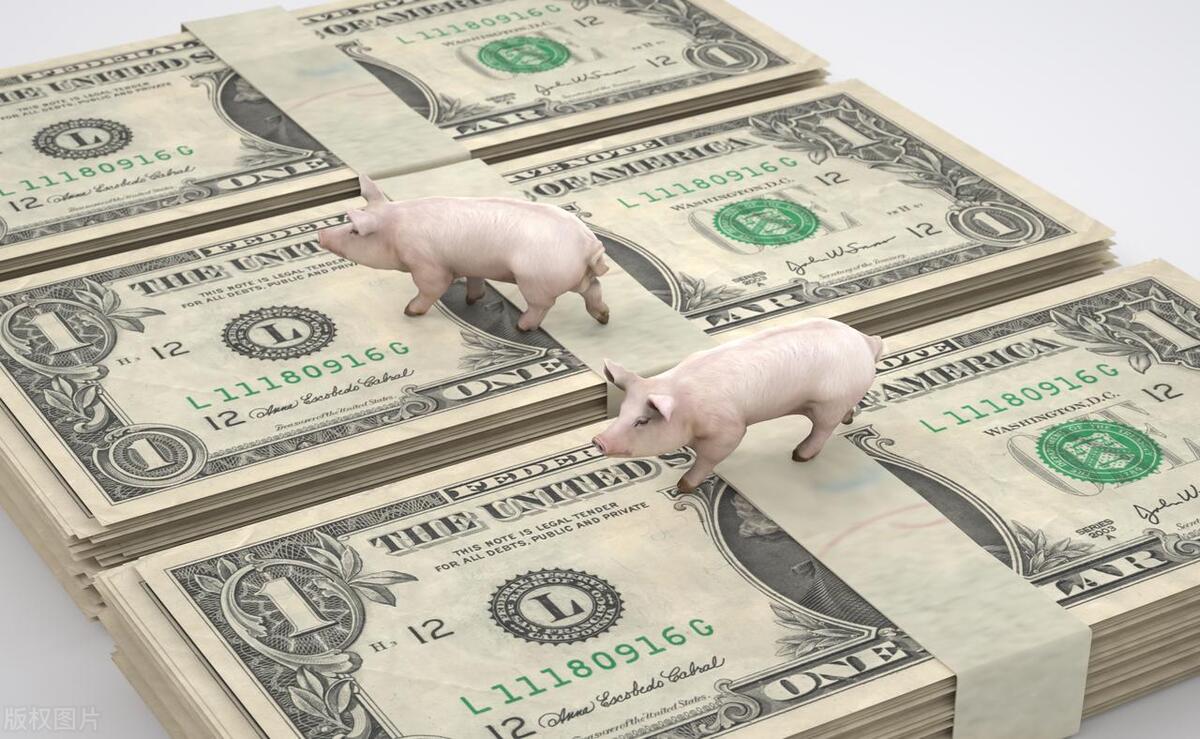 为什么中国生蚝没外国贵,正宗美国生蚝多少钱一斤