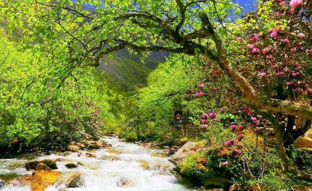 2021年中国旅游日四川景点优惠,四川中国旅游日优惠