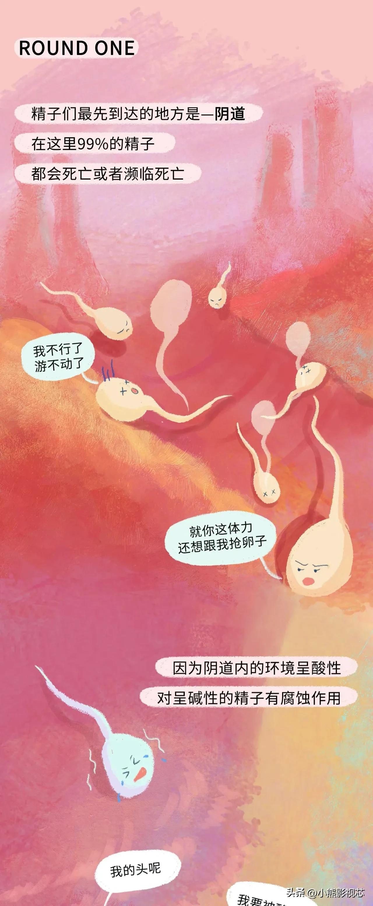 精子进入女生体内的全过程