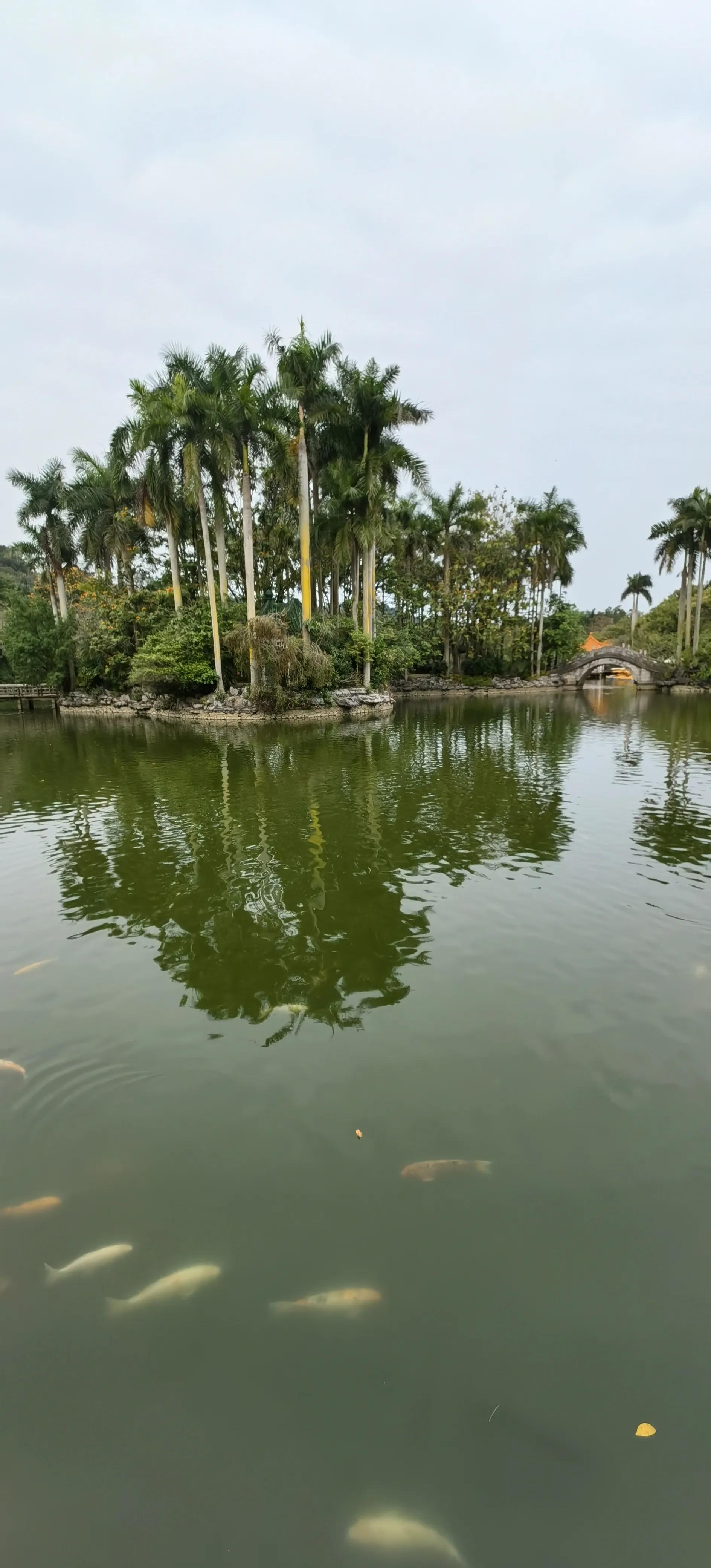 旅行日记记录一家人美好生活,旅行日记85天