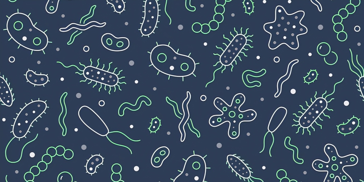 4文聚焦阴道菌群：母子健康之关键，但也有争议|母婴之声