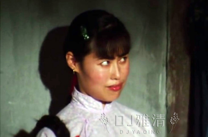 最佳女演员金鸡奖颁奖词,刘晓庆奚美娟金鸡影后