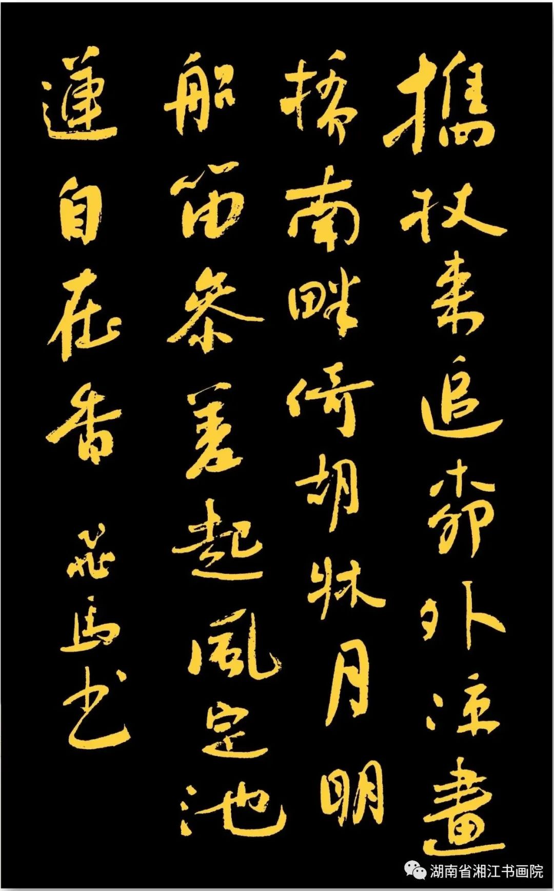 飞翔的马——贺飞马书法作品欣赏