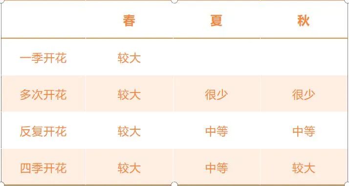 栽培玫瑰花的正确方法,玫瑰花种栽培技术