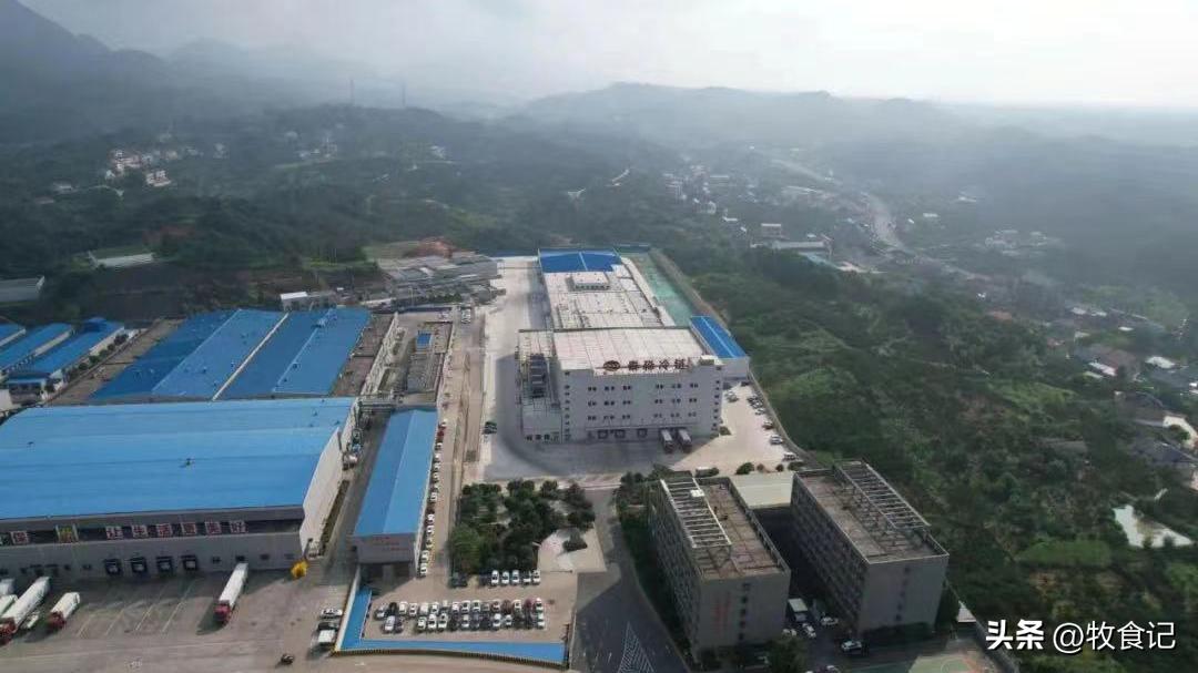 鸡猪齐飞！“中国鲜禽第一股”完成生猪全产业链布局