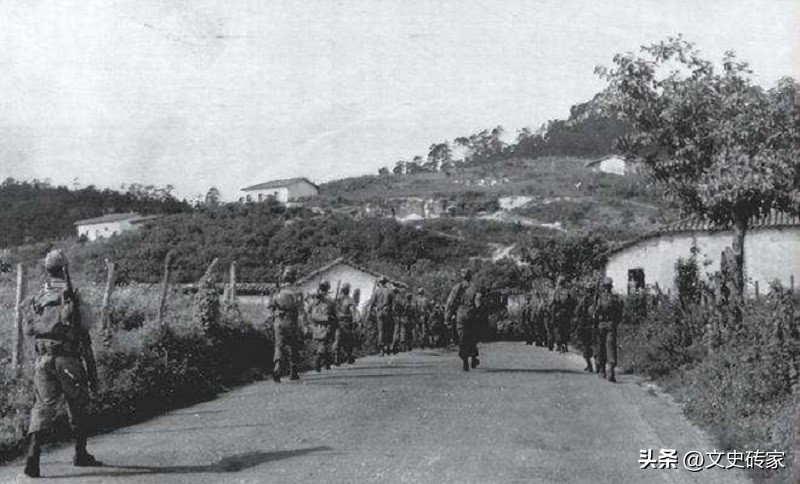 太荒唐完整版,太荒唐全文阅读