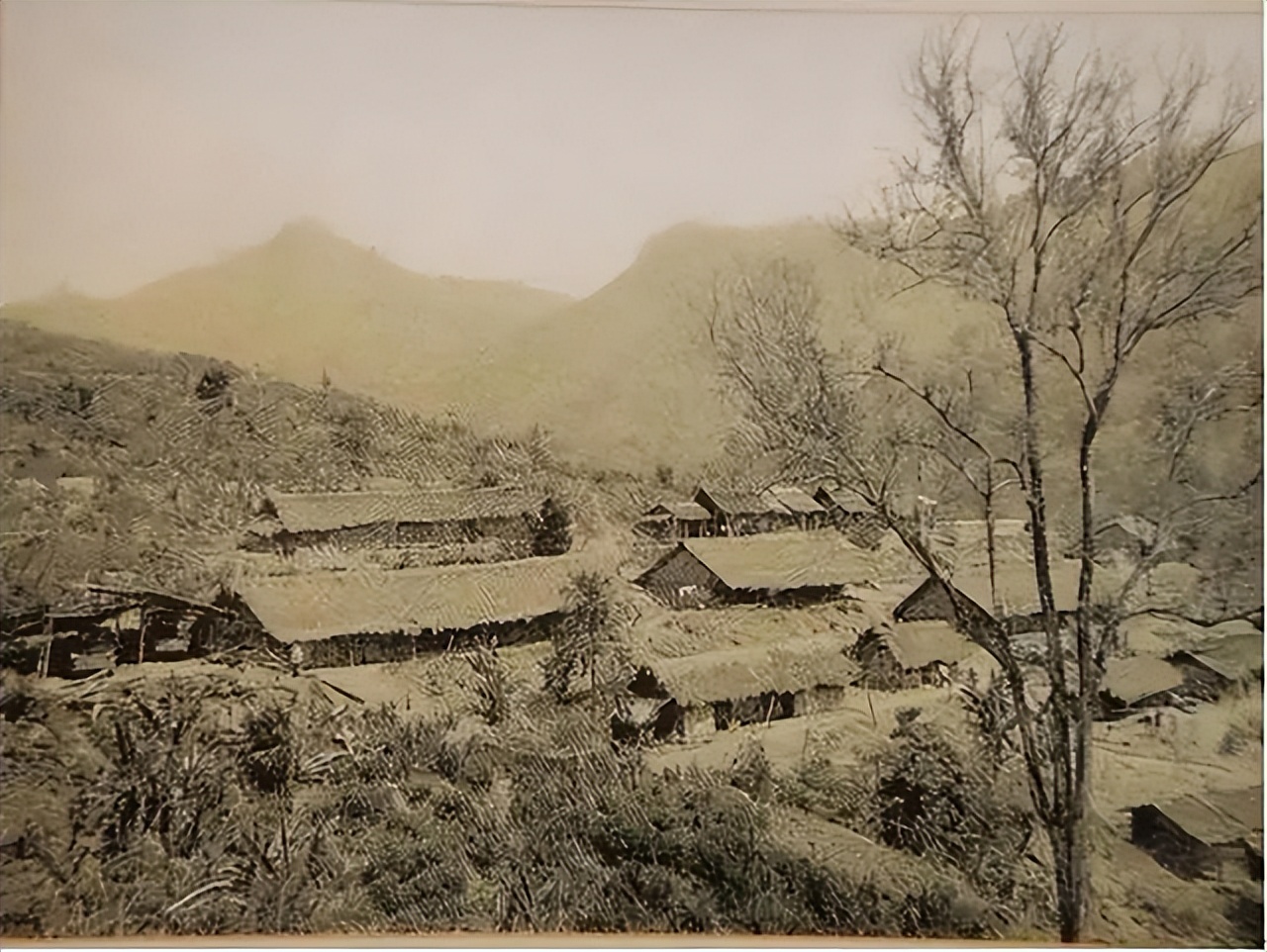 西双版纳上海女知青失踪之谜,西双版纳女知青失踪之谜