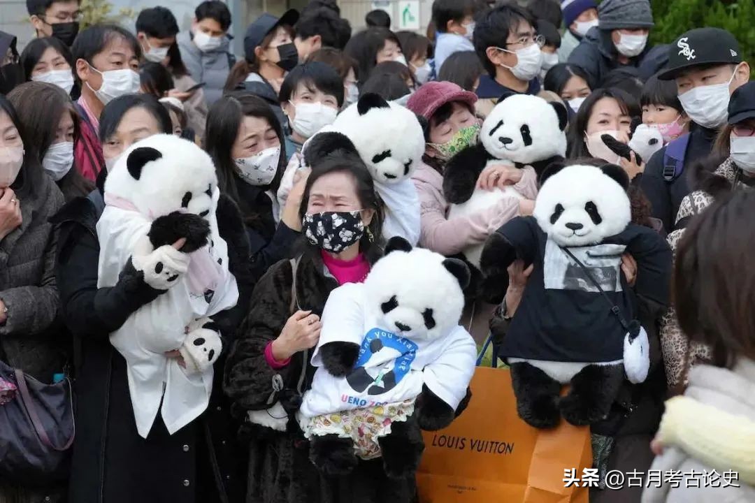 旅日大熊猫回国日本人反应,四只旅日大熊猫陆续归国