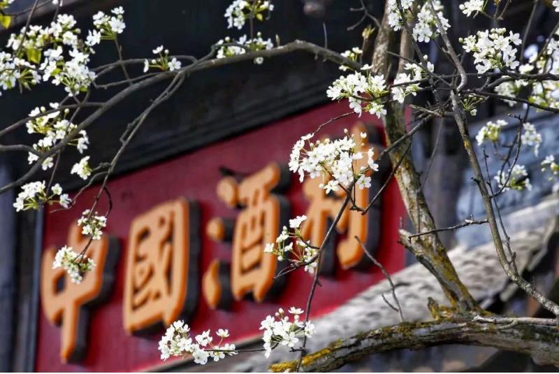 大梁茗酒原产地是哪里,大梁茗酒