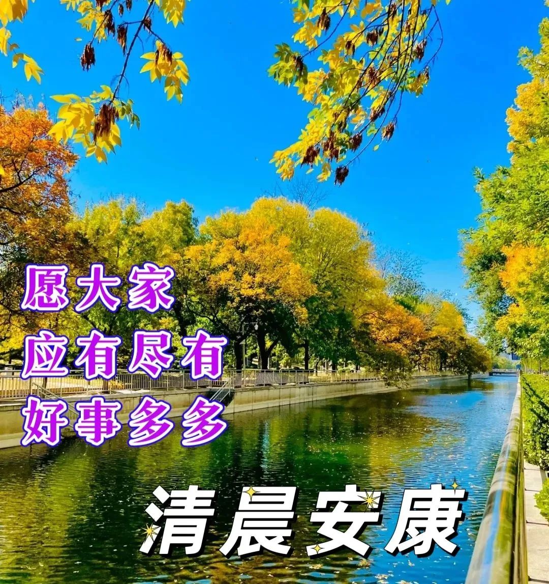 「2022.11.03」早安心语，正能量经典哲理语录句子很赞的问候图片