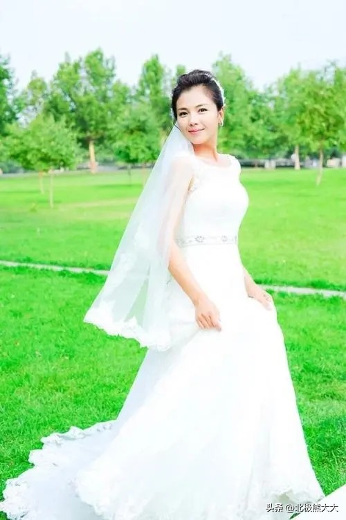 从贤妻到女强人刘涛都经历了什么,贤妻刘涛真实身份