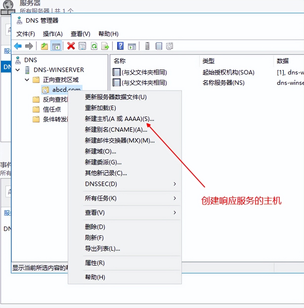windowsserver2012dns服务器搭建,windows平台搭建dns服务器