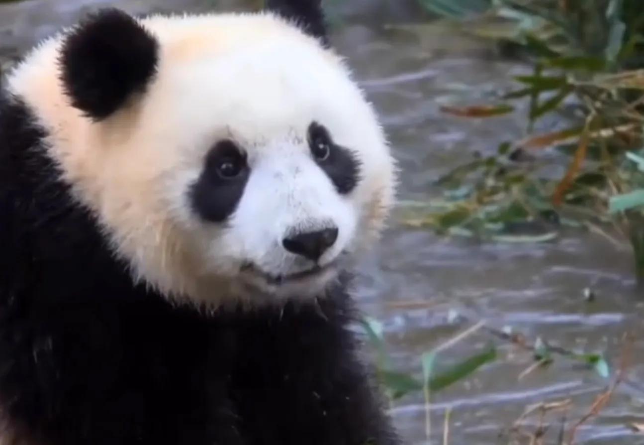 考古爱宝,考古爱宝的童年经历