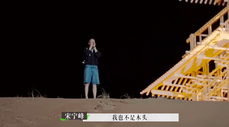 张婉婷宋宁峰最终结果,宋宁峰张婉婷细节分析