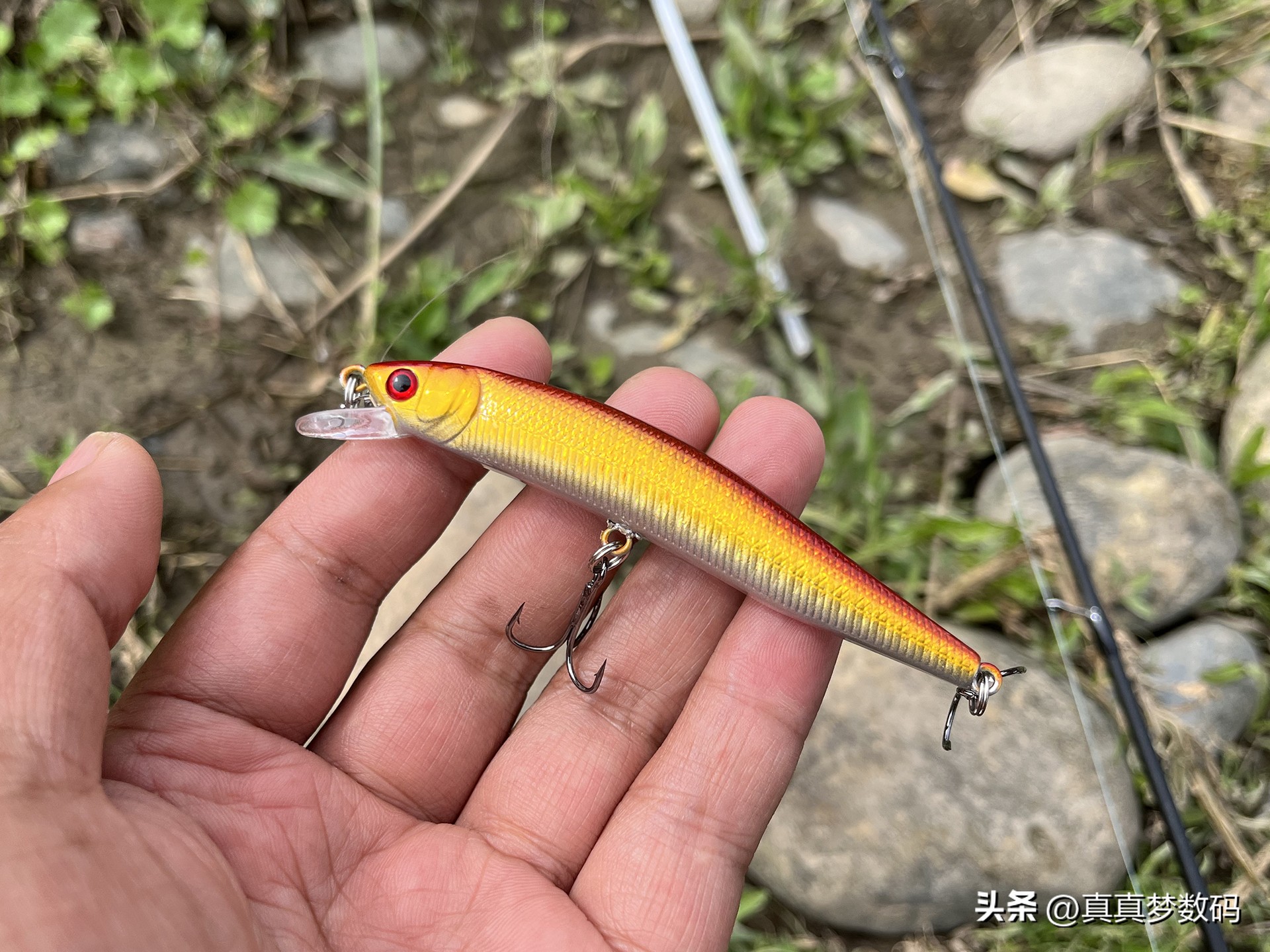 新手路亚要从微物练吗,路亚新手装备泛用竿