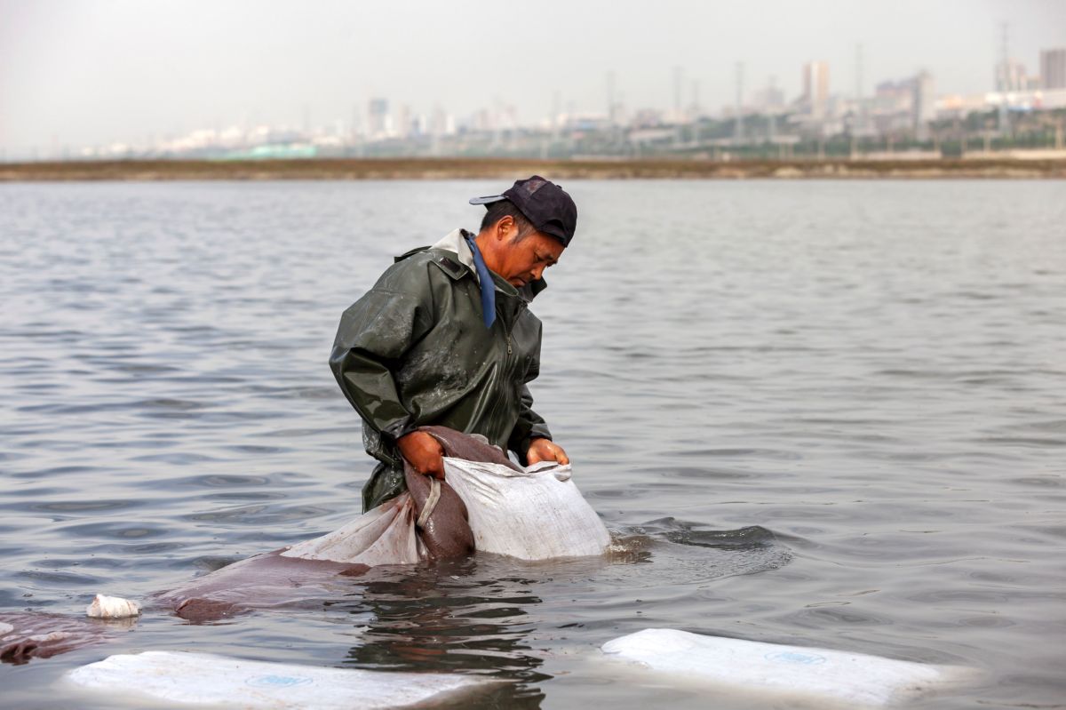 中国死海运城盐湖多大面积,中国死海运城盐湖图片
